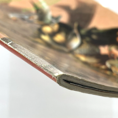 ad4eef8f-16d4-46bc-8258-939cb73903b5