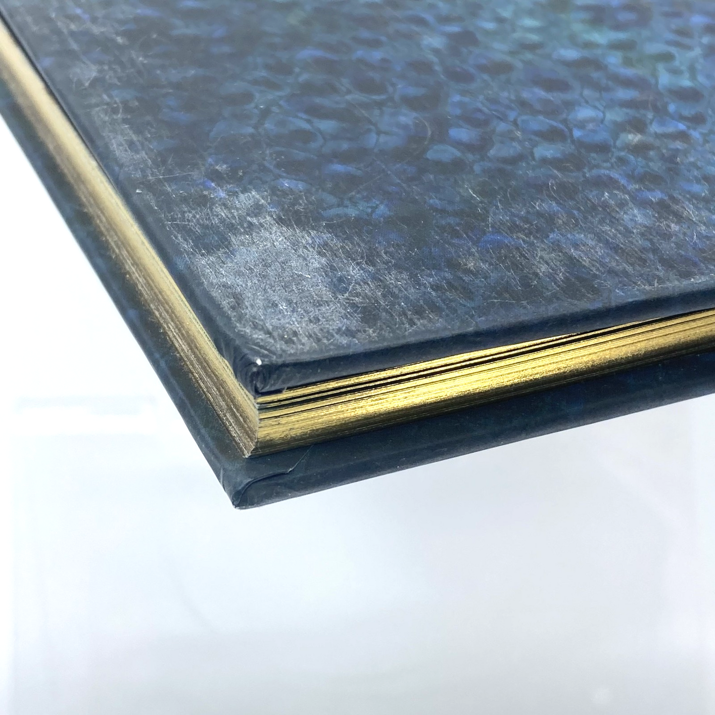 b05cca10-98fc-42be-8046-0a791449d47f