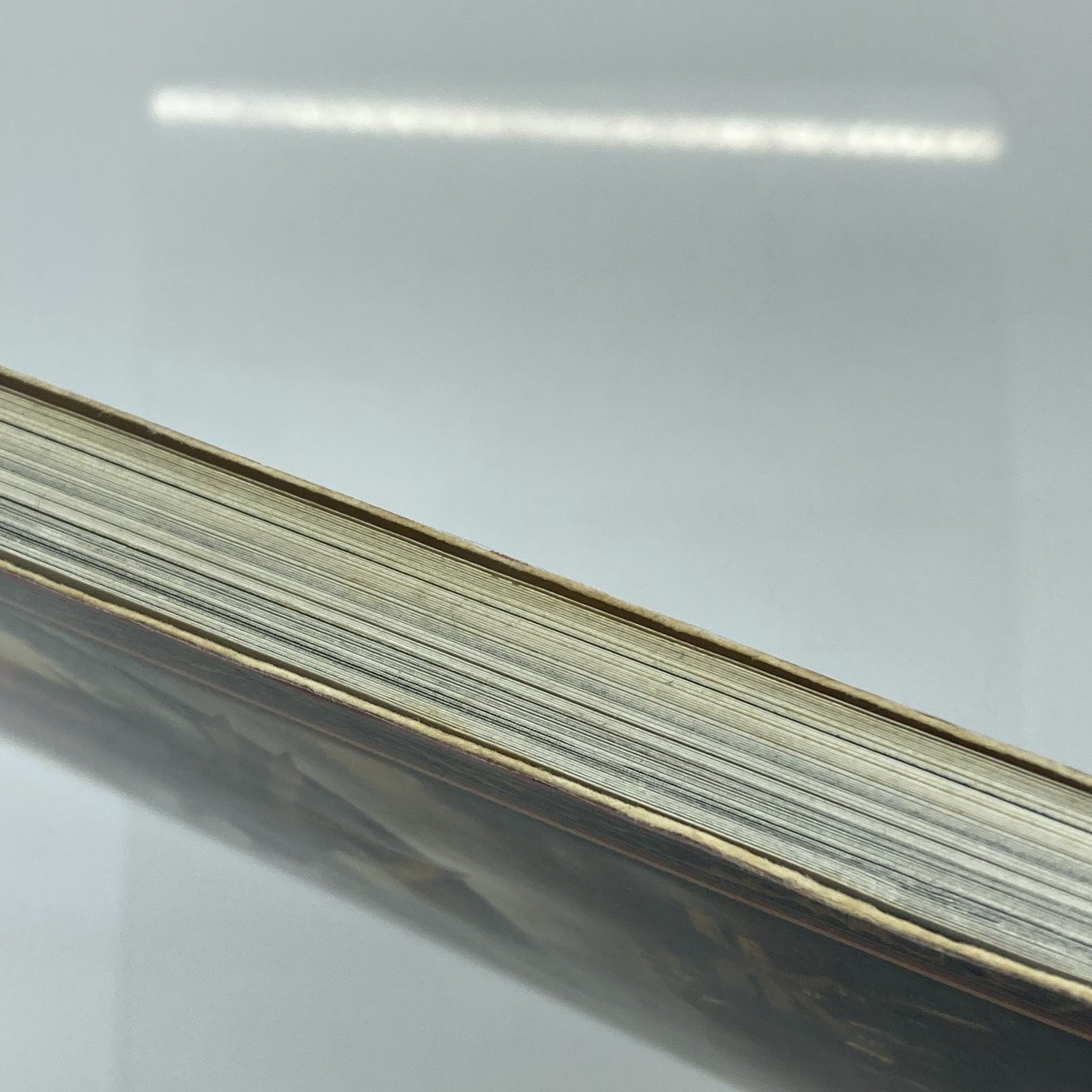 b07e133a-7c72-4fd8-8370-dc8d51bcc304