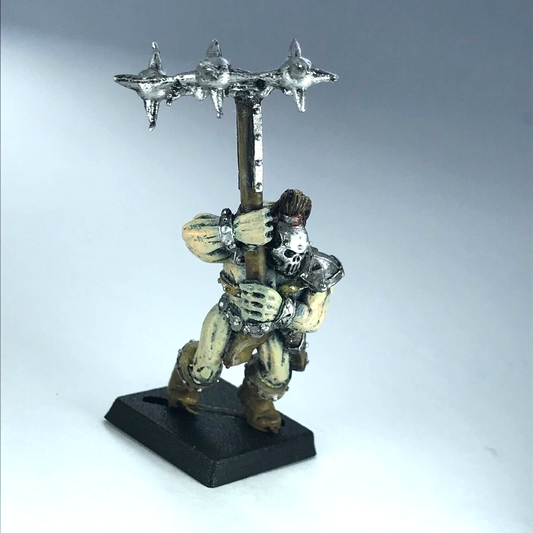 Classic Metal Chaos Marauder Warriors of Chaos Painted Warhammer Fantasy X3086