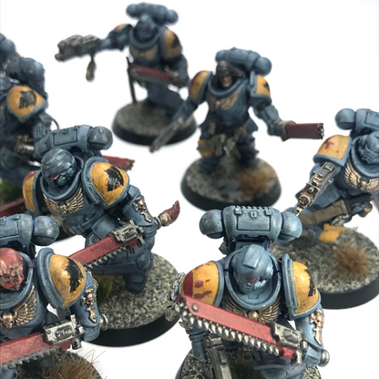 Assault Intercessors Space Wolves Space Marines - Painted - Warhammer 40K C3097