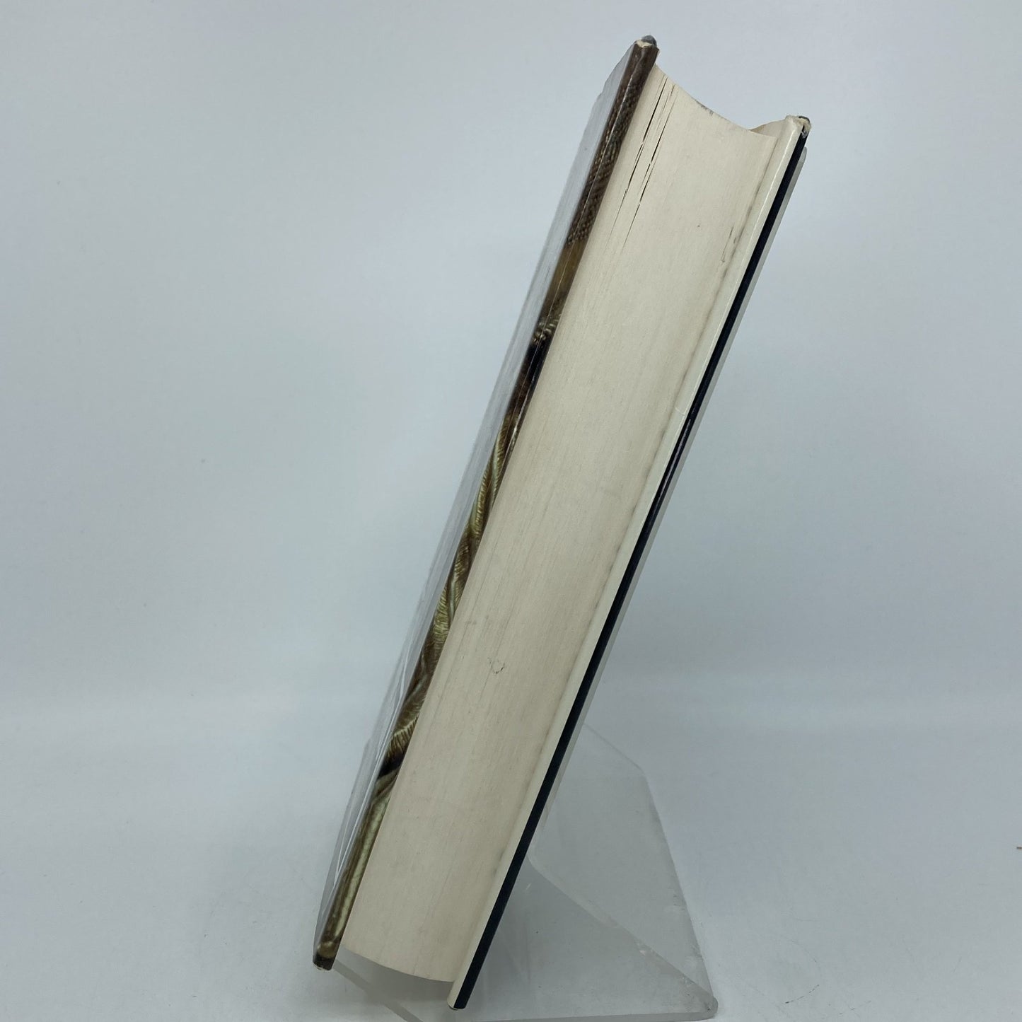 b34516b2-6a26-49cf-bb22-166891b1c61b