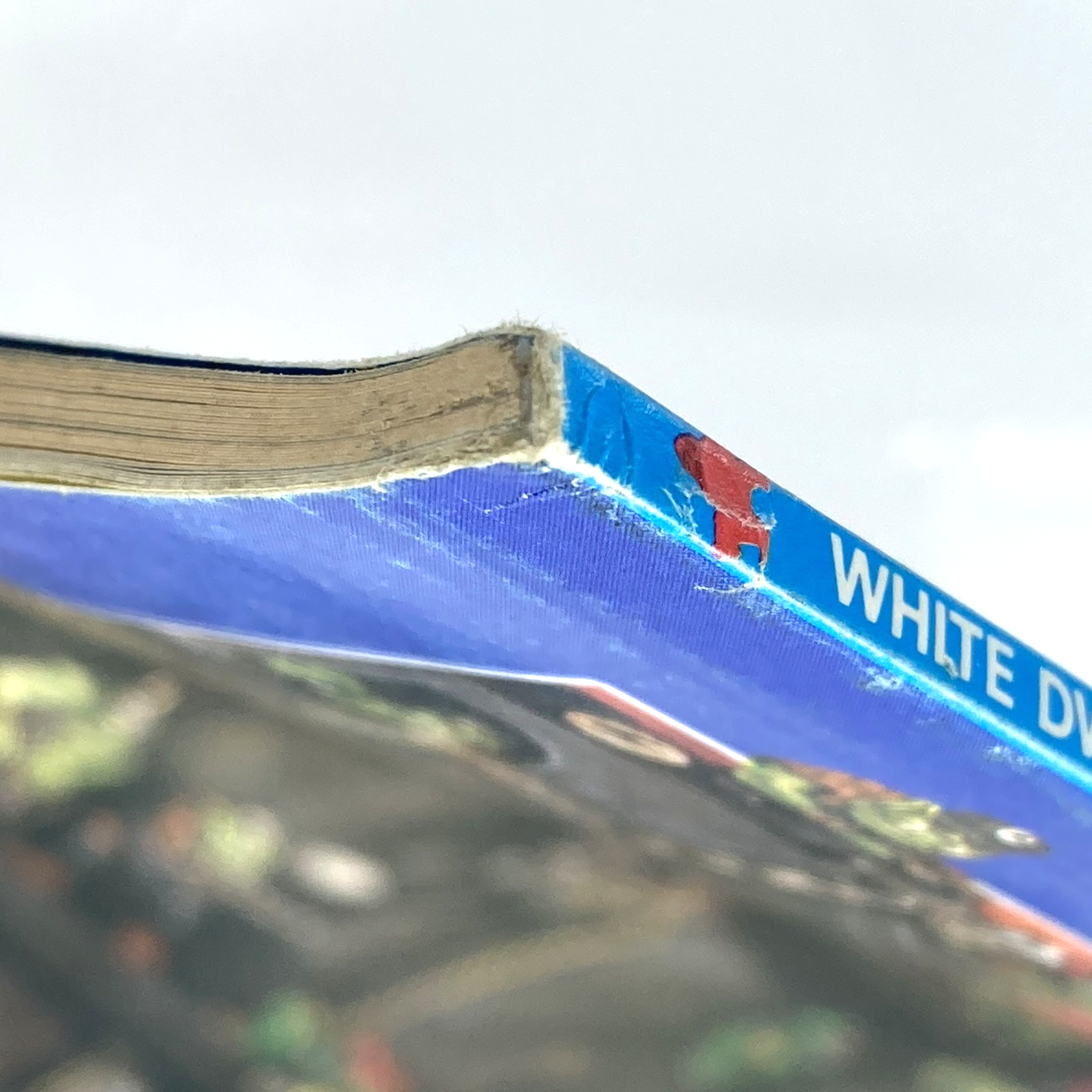 b35ab2c3-9386-49b8-bfc2-5304d5791ded