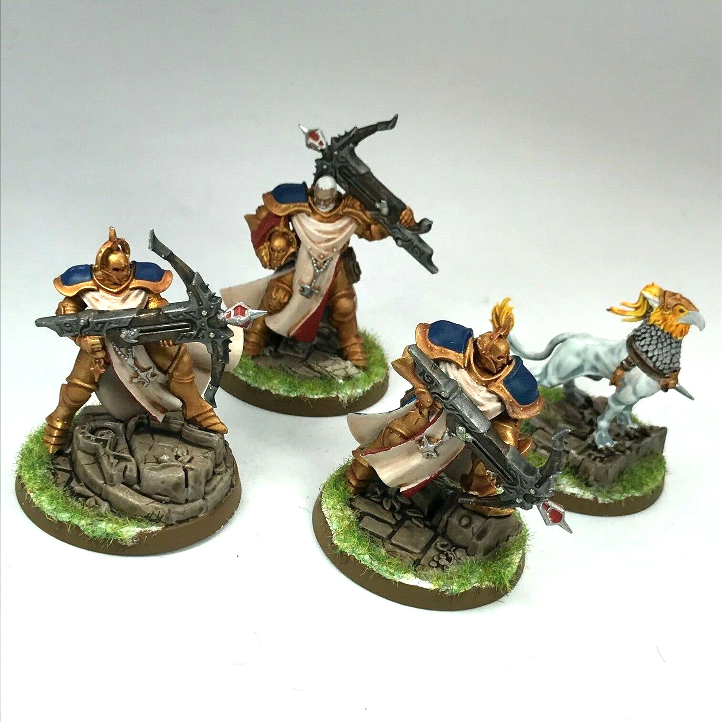 Castigators with Gryph Stormcast Eternals Painted Warhammer Age of Sigmar C2005