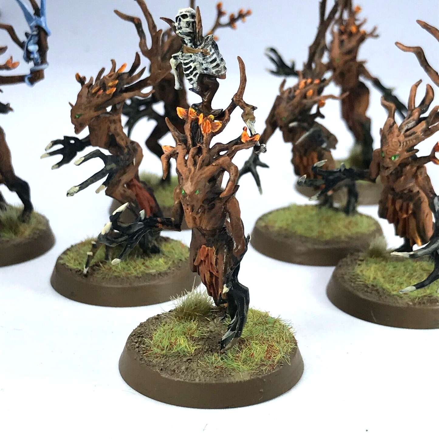 Sylvaneth Dryads Sylvaneth - Painted - Warhammer Age of Sigmar C3848