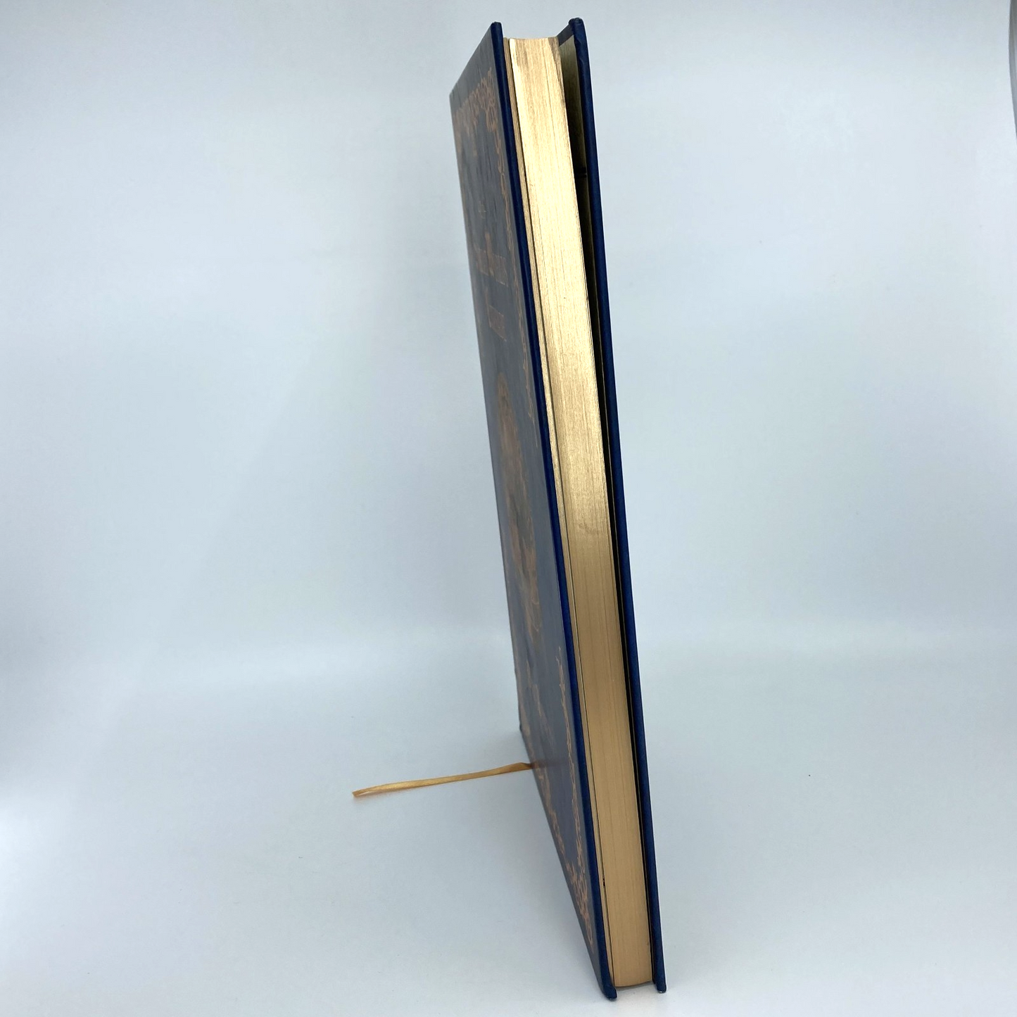 b8a0951c-a6d9-4dfe-a954-2a8302515e91