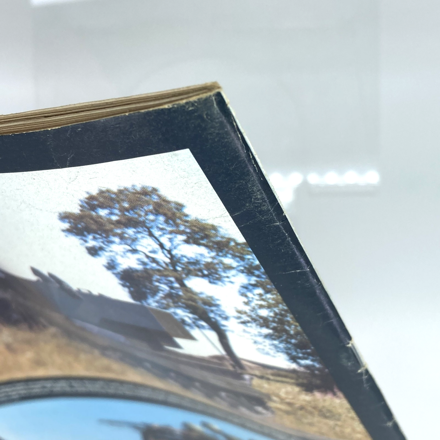 b8e91b9d-e66c-42cd-a4f2-8f203d331de0