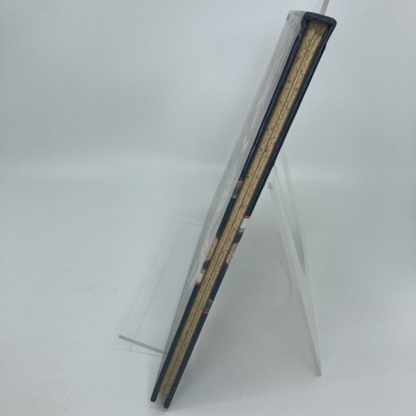 b9c260a9-0445-4848-bbec-20e66fdd10a3