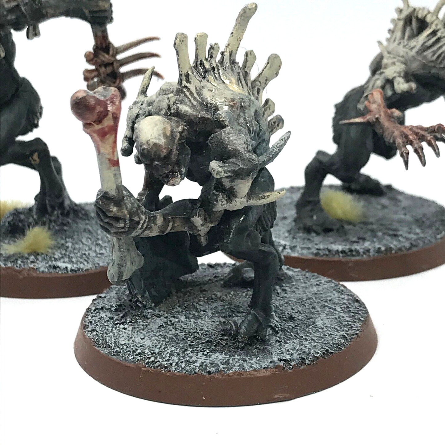 Crypt Horrors Flesh-eater Courts - Painted - Warhammer Age of Sigmar C2621