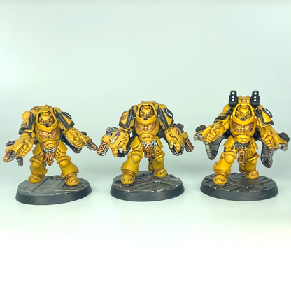 Primaris Aggressors Imperial Fists Space Marines - Painted - Warhammer 40K C1037