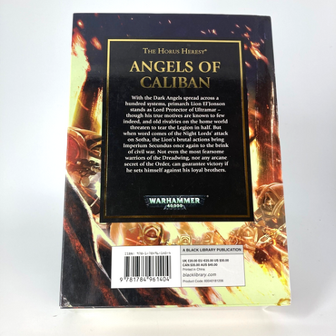 Angels Of Caliban Gave Thorpe 2016 Black Library Warhammer Horus Heresy M1713
