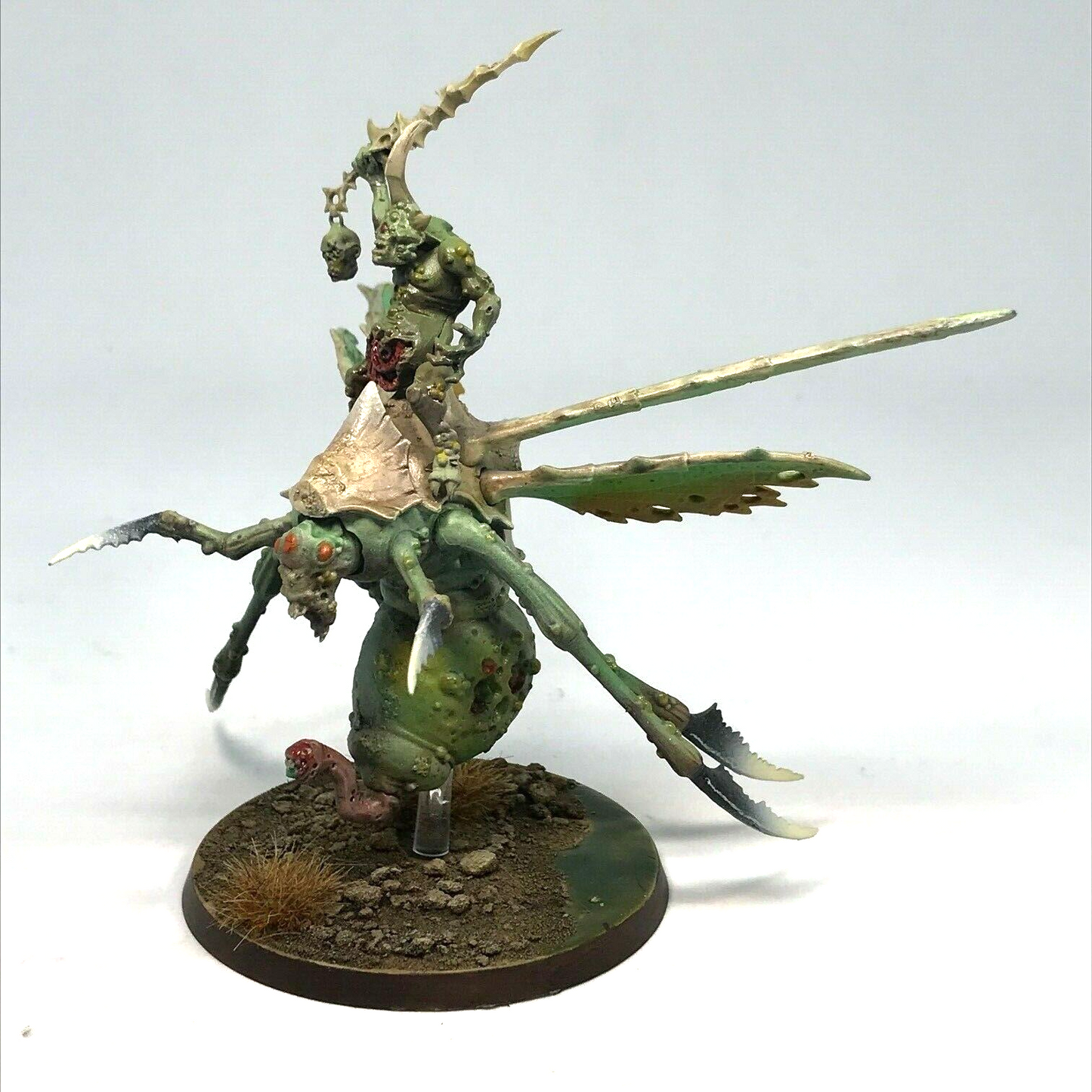 Plague Drone Maggotkin of Nurgle Chaos Warriors - Warhammer Age of Sigmar BOX88