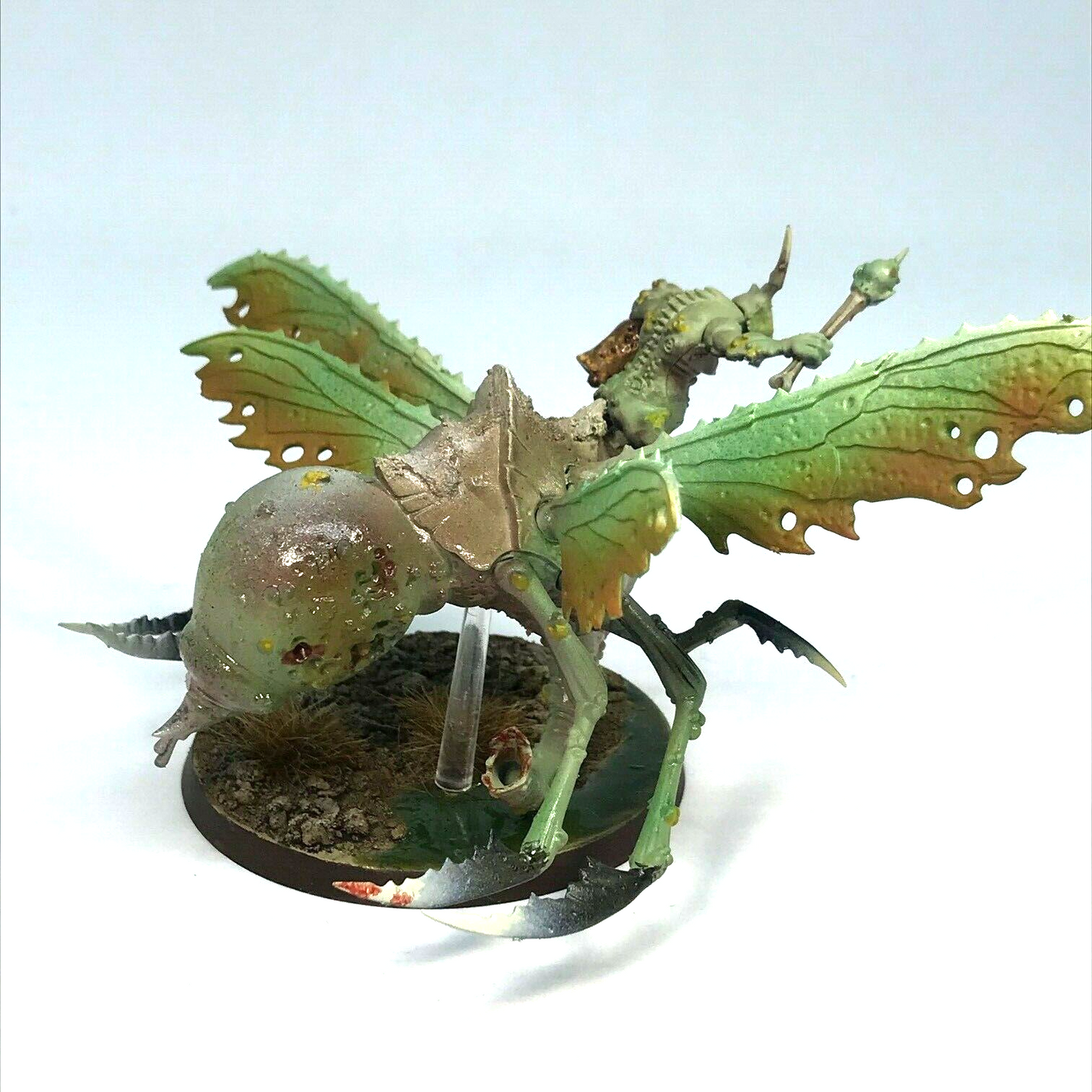 Plague Drone Maggotkin of Nurgle Chaos Warriors - Warhammer Age of Sigmar BOX87