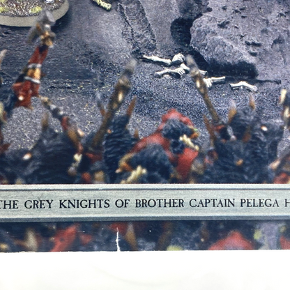 c1005d12-438d-4c4e-9959-c896be14daa9