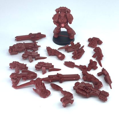 c115aa08-496f-42f3-8a13-c393abaa0a6c