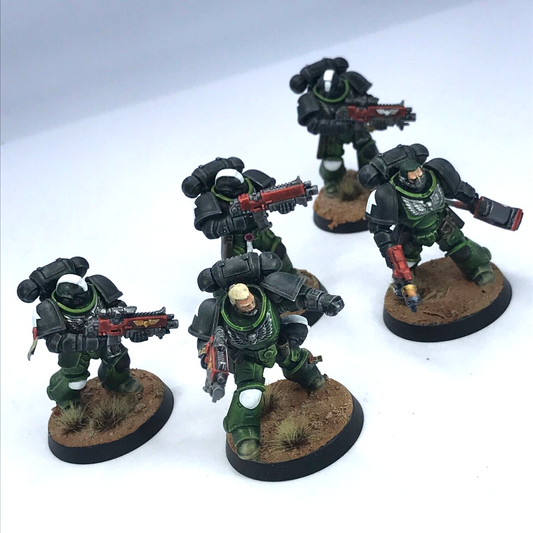 Salamanders Primaris Intercessors Space Marines - Warhammer 40K Painted C4693