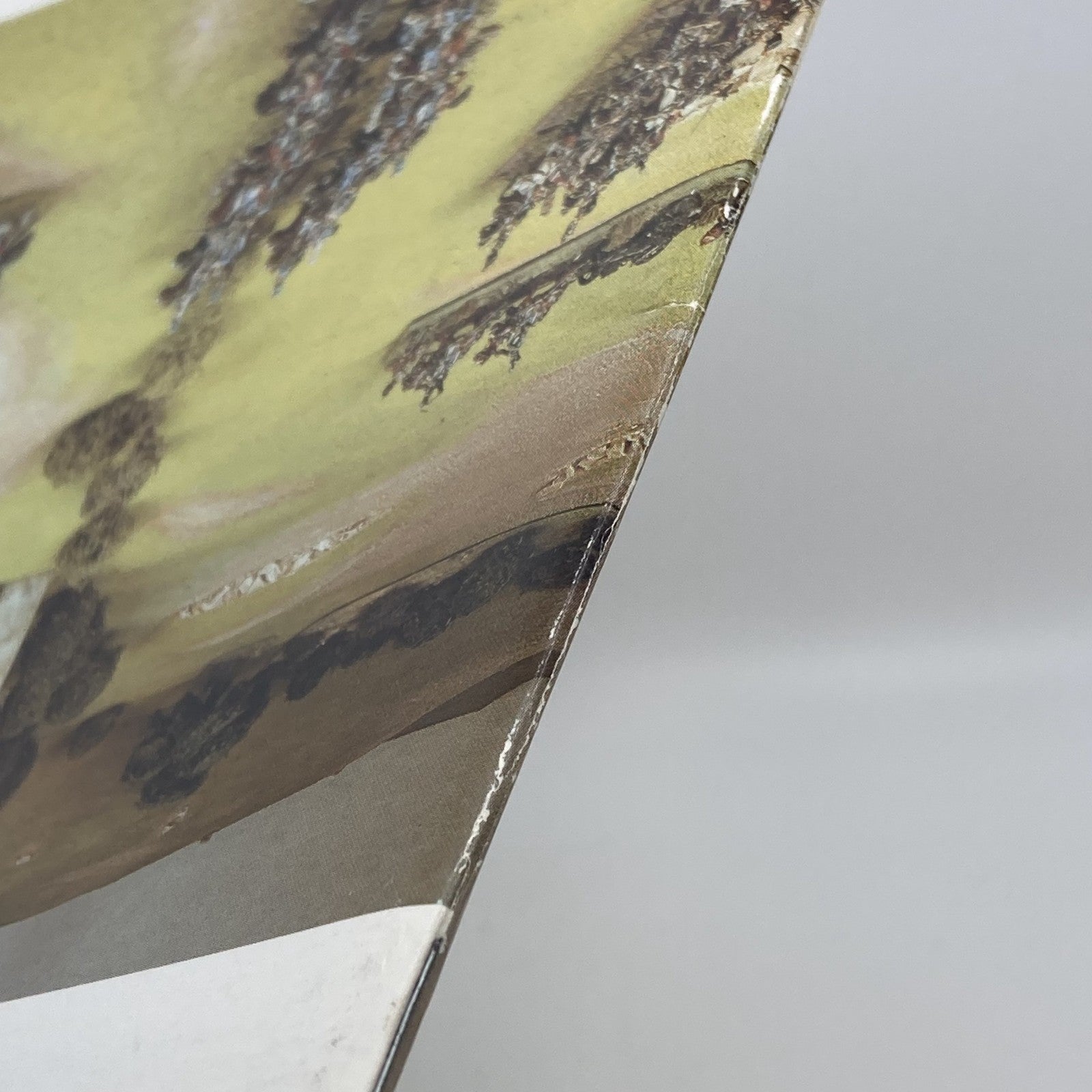 c1ef12d0-717a-496f-8b04-ef84f4a50b9a