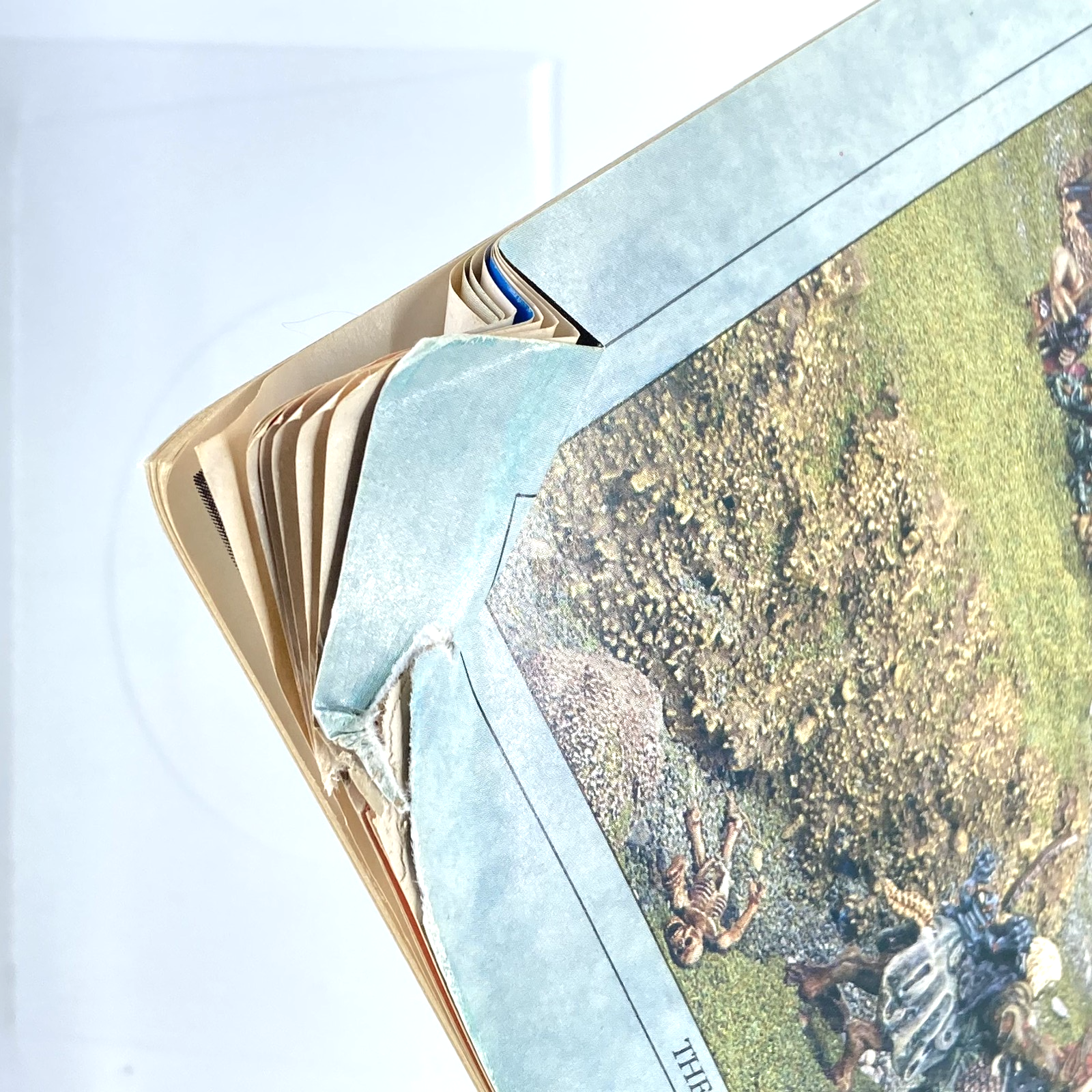 c1f65d5e-db4c-4355-a94b-7edb63d67c2b