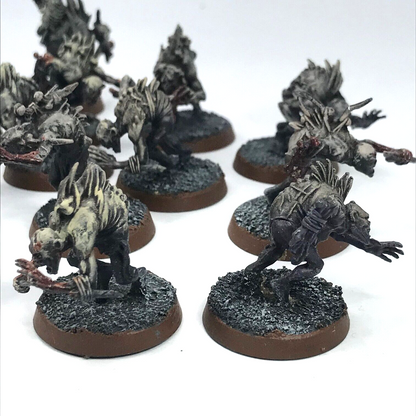 Crypt Ghouls Flesh-eater Courts - Painted - Warhammer Age of Sigmar C2615