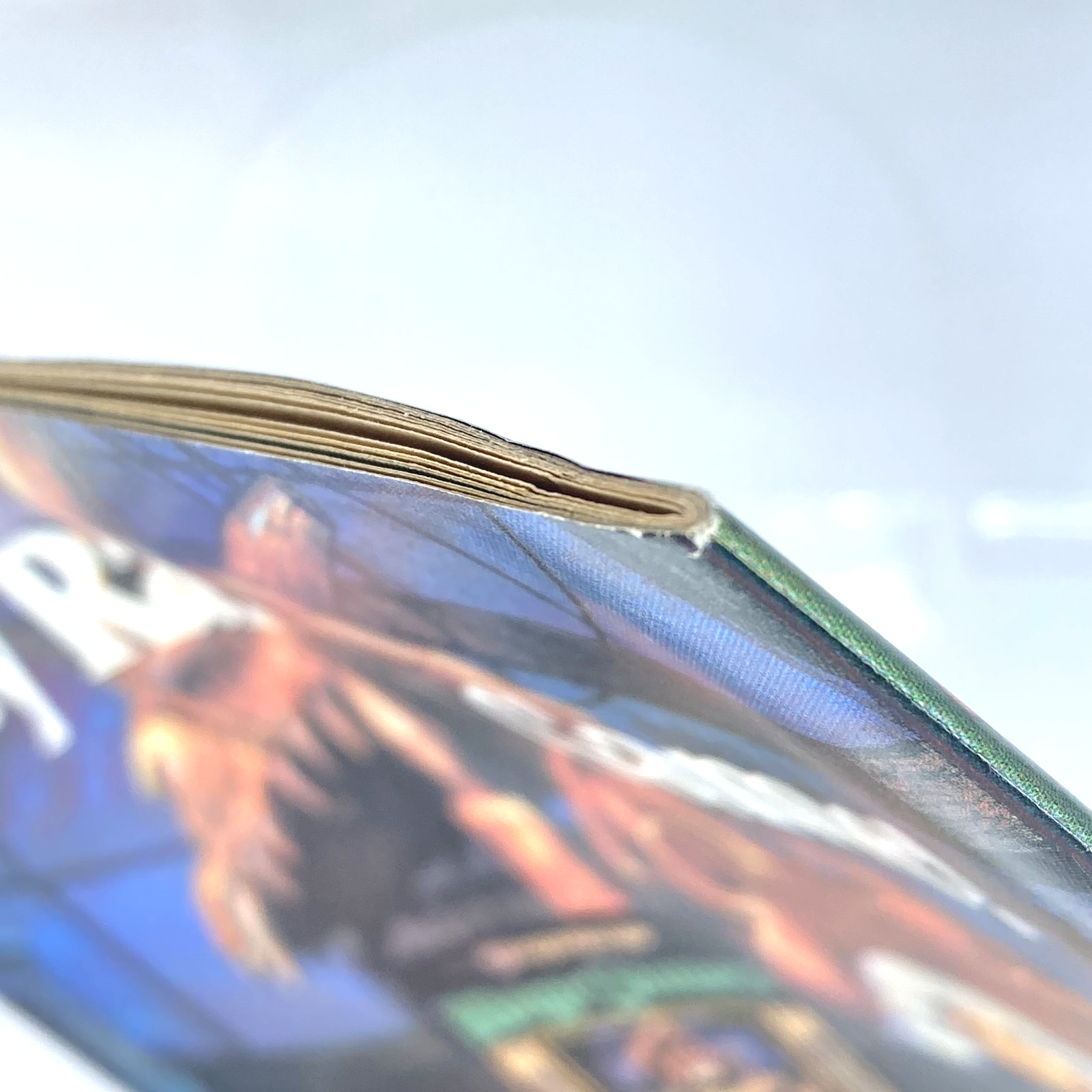 c260b4d1-dd02-444d-9193-79f0fc71d5fd