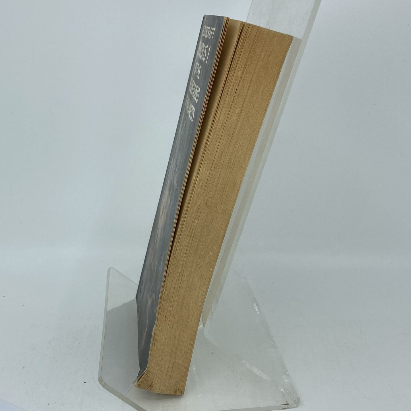 c2aeadd0-2d04-4a04-b917-975da4a3e438