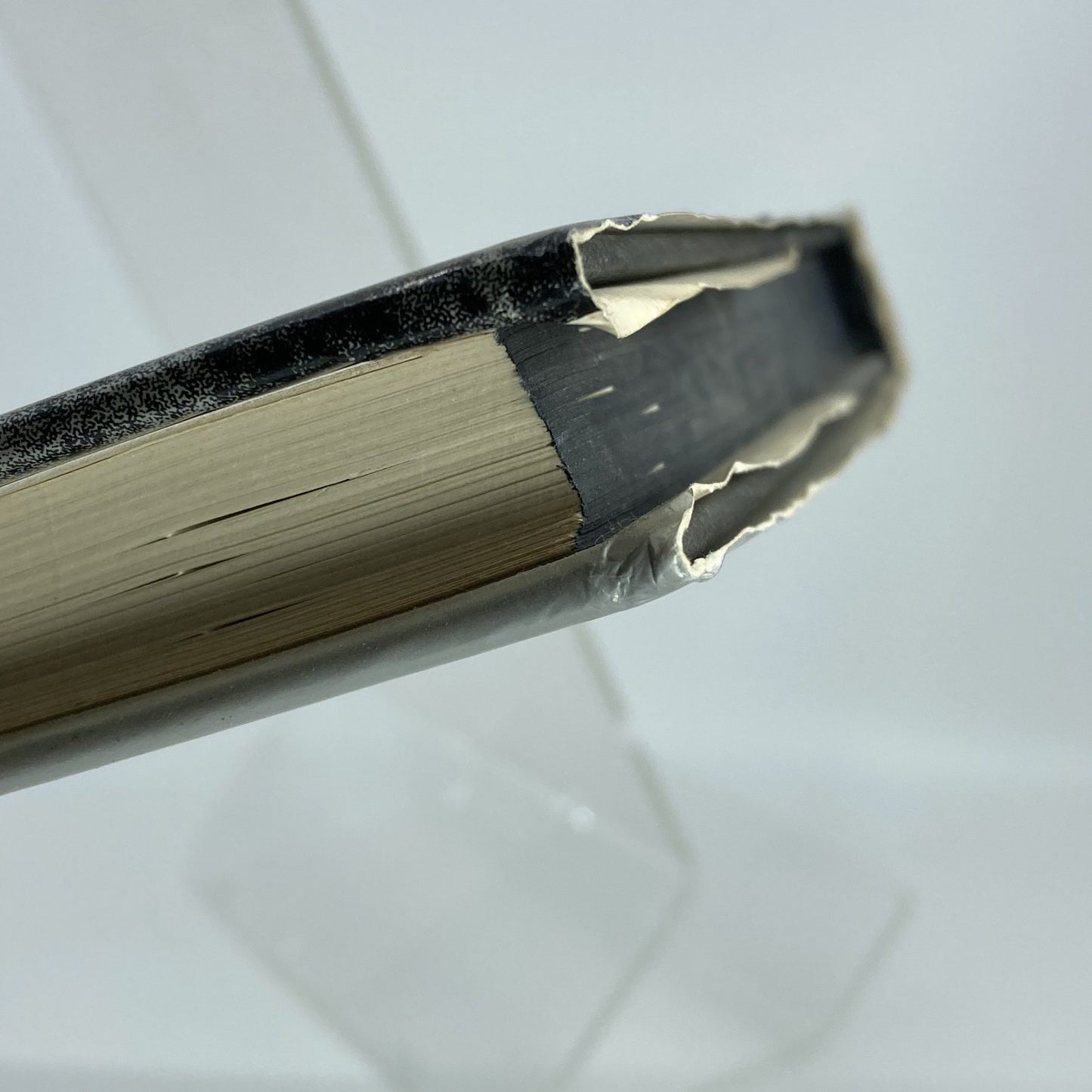 c3176836-3432-4b50-9a0d-4bcb6cb5329e