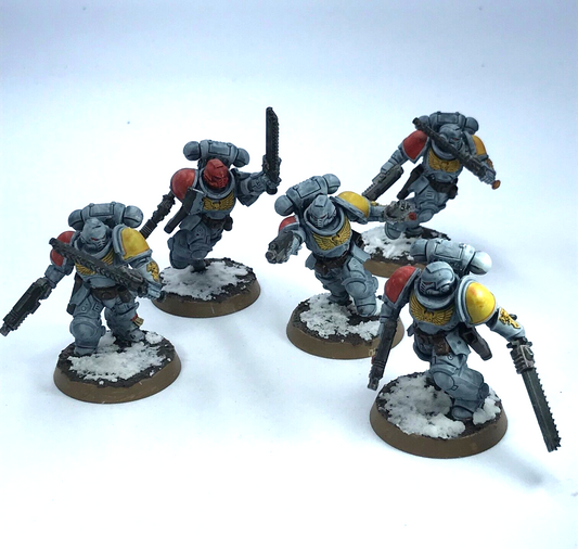 Assault Intercessors Space Wolves Space Marines - Painted - Warhammer 40K C3658