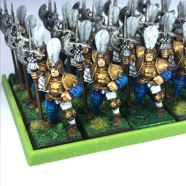 The Empire Halberd Halberdier Infantry Regiment & Tray Warhammer Fantasy Painted