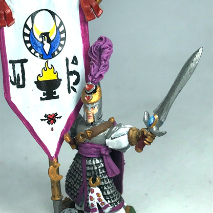 High Elf Elves Army Standard Bearer Painted - Warhammer Fantasy C1218