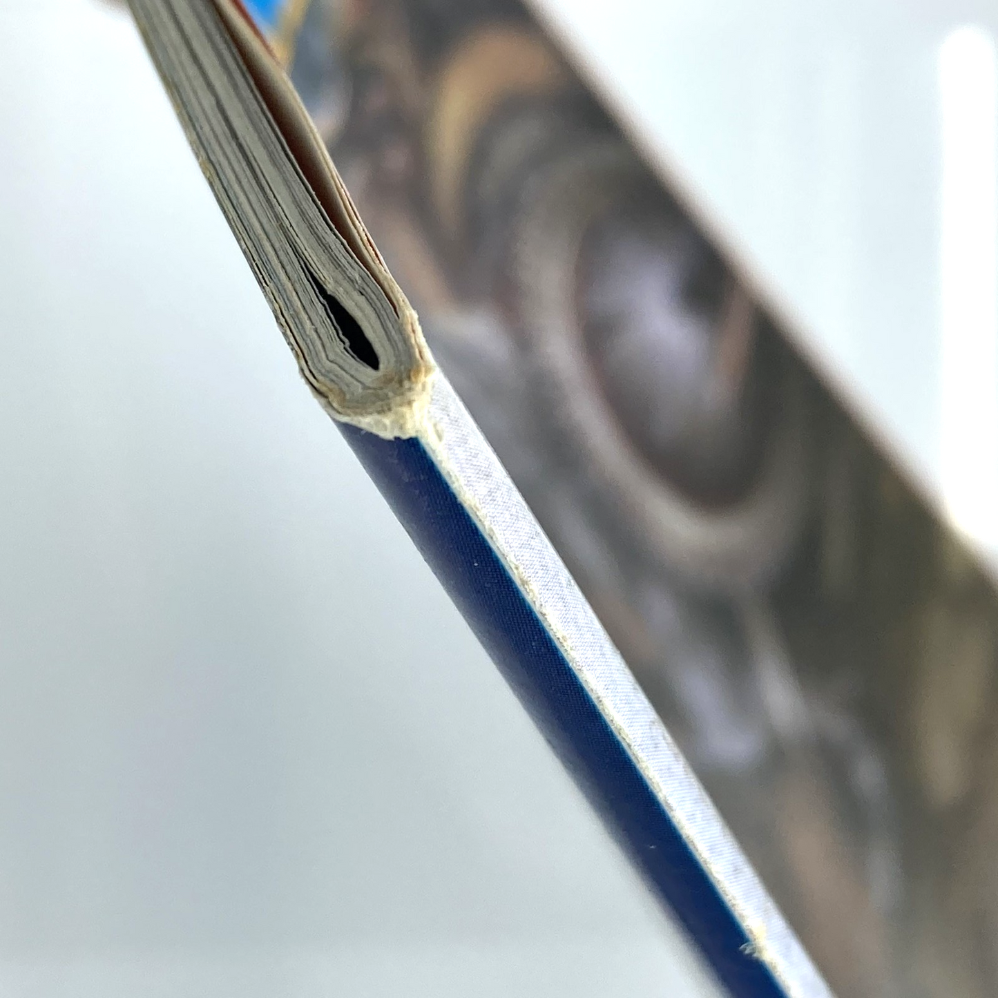 c5da9fbf-d76e-495e-be02-031368798f9f