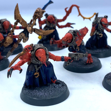 Hybrid Metamorphs Acolyte Genestealer Cults Cult - Painted - Warhammer 40K C3069