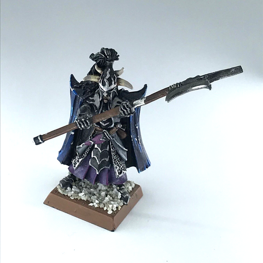 Dark Elves Black Guard Champion Elf - Warhammer Fantasy Metal X2023