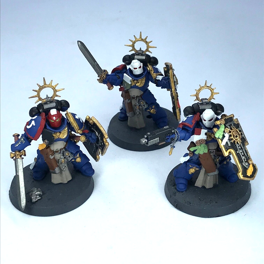 Bladeguard Veterans Ultramarines Space Marines - Painted - Warhammer 40K C3048