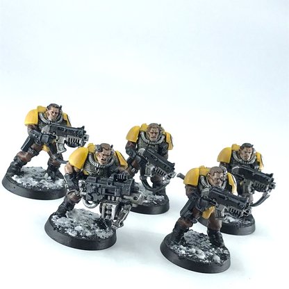 Scout Squad Imperial Fists Space Marine - Painted - GW Warhammer 40K C2848