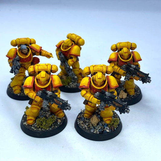 Primaris Intercessors Imperial Fist Space Marine - Painted Warhammer 40K C3116