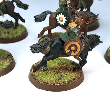 Riders of Rohan Warriors - Painted - LOTR / Warhammer / Lord of the Rings C4568