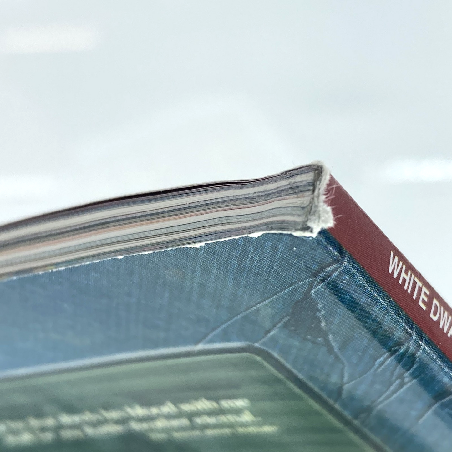 ce041ce3-c5e1-4d7f-a7b8-1a2a6d59db34