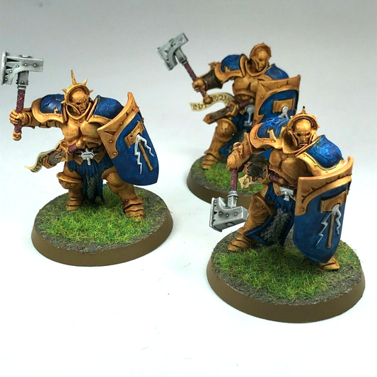 Sequitors Stormcast Eternals - Painted - Warhammer Age of Sigmar C61