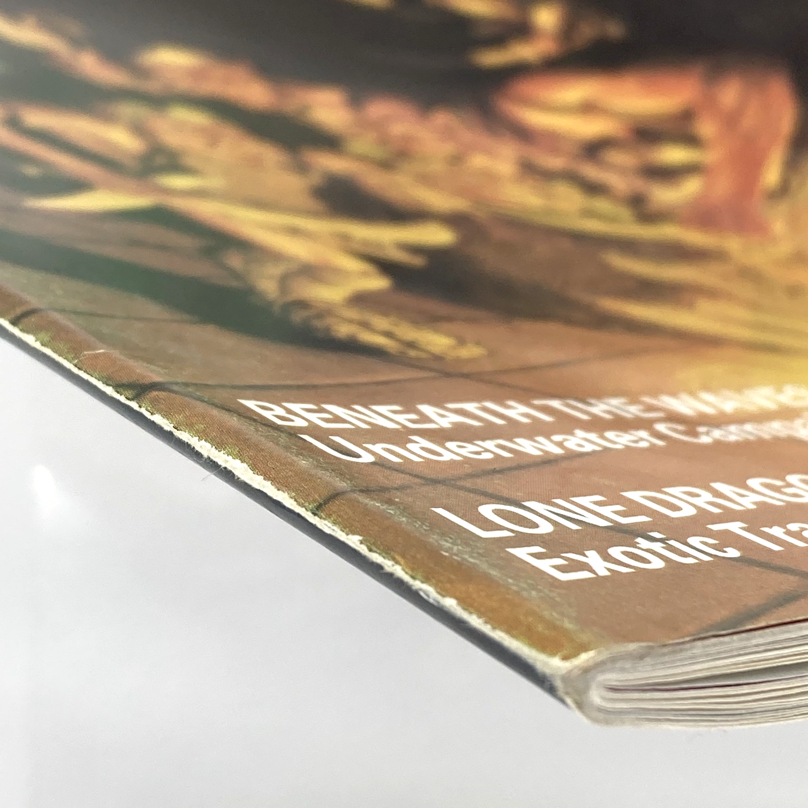 ce7b9567-327b-4a76-aa04-fd5cc07e1280