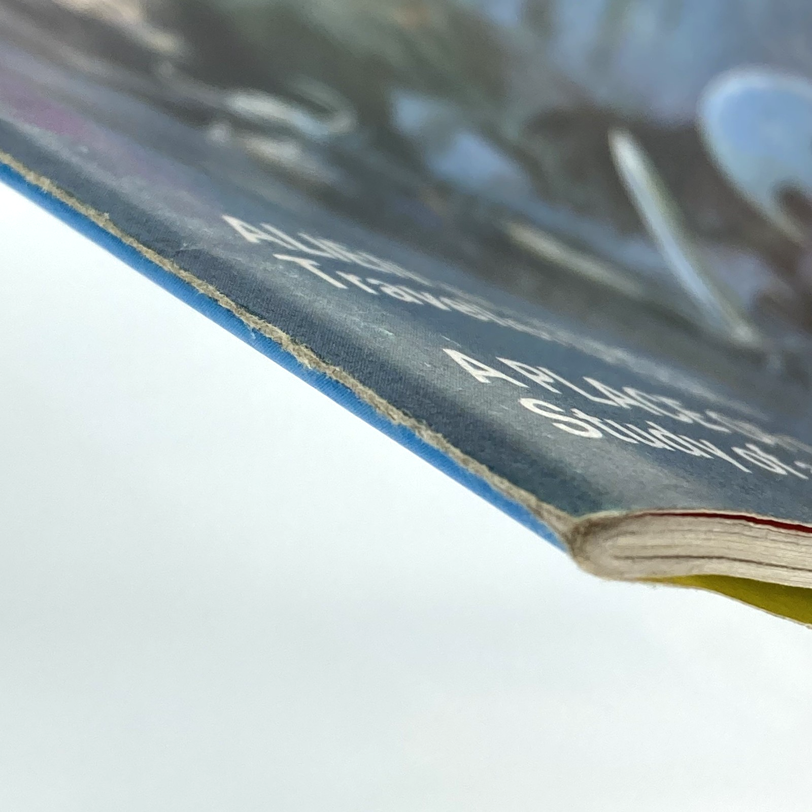 ceac47d7-ff16-4e29-b13e-3a4a9ef55d63