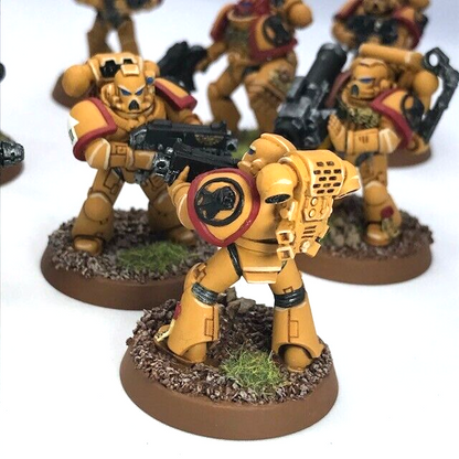 Imperial Fists Tactical Squad Space Marines - Warhammer 40K Painted C4755