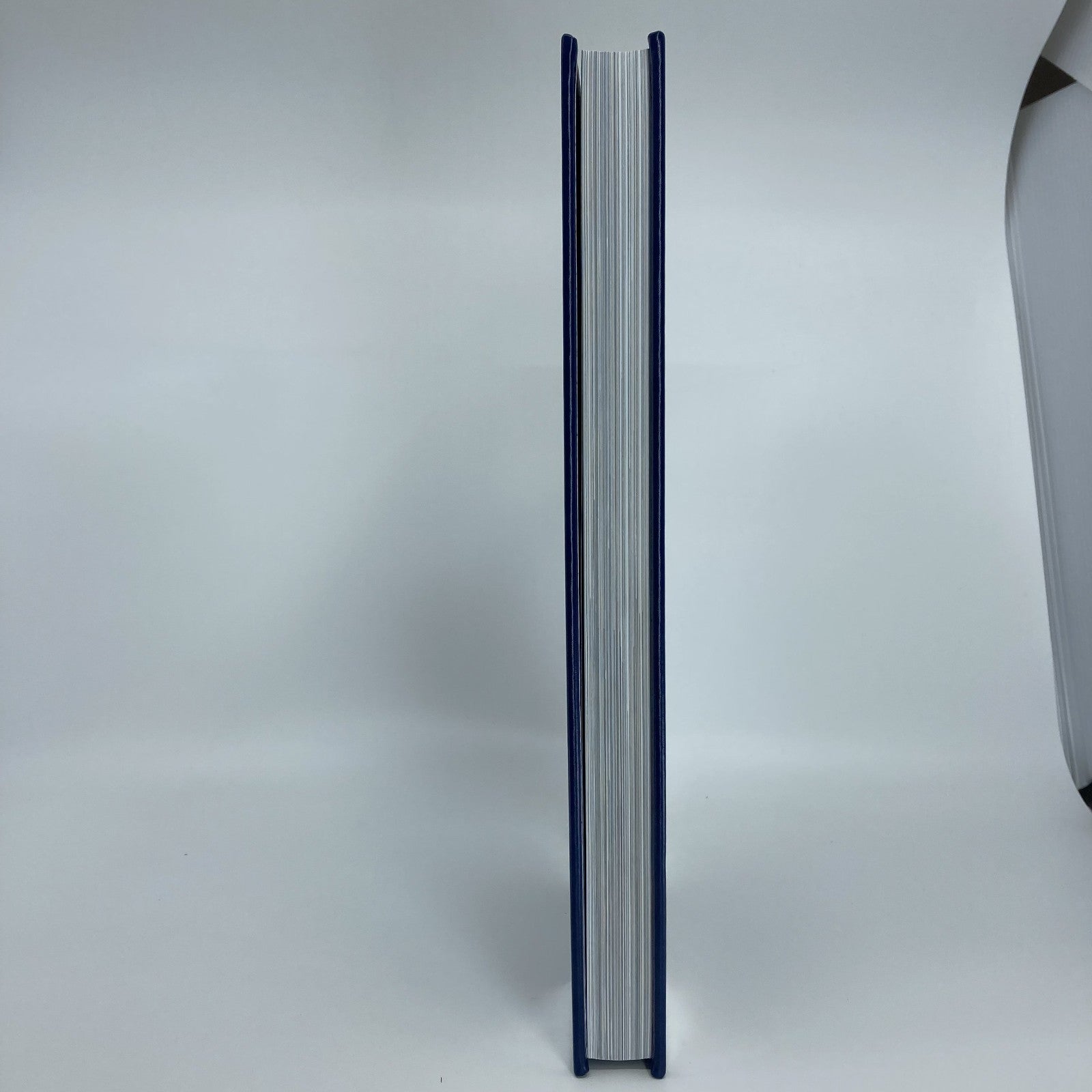 d1bb0337-5587-4db7-9ad8-a52c98bcb667