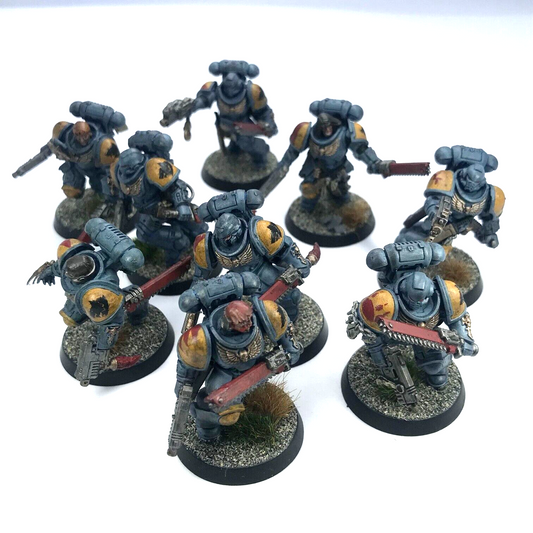 Assault Intercessors Space Wolves Space Marines - Painted - Warhammer 40K C3097