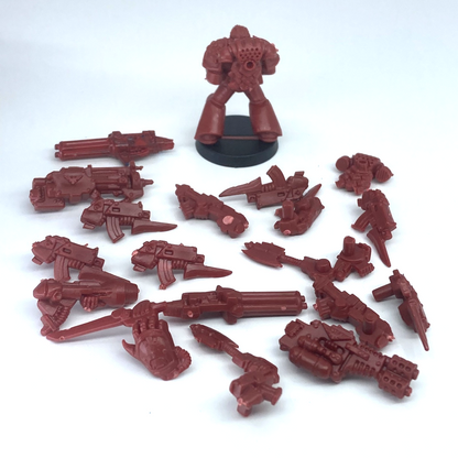 d33d7f7f-47e2-445b-ace9-95c58e82d399