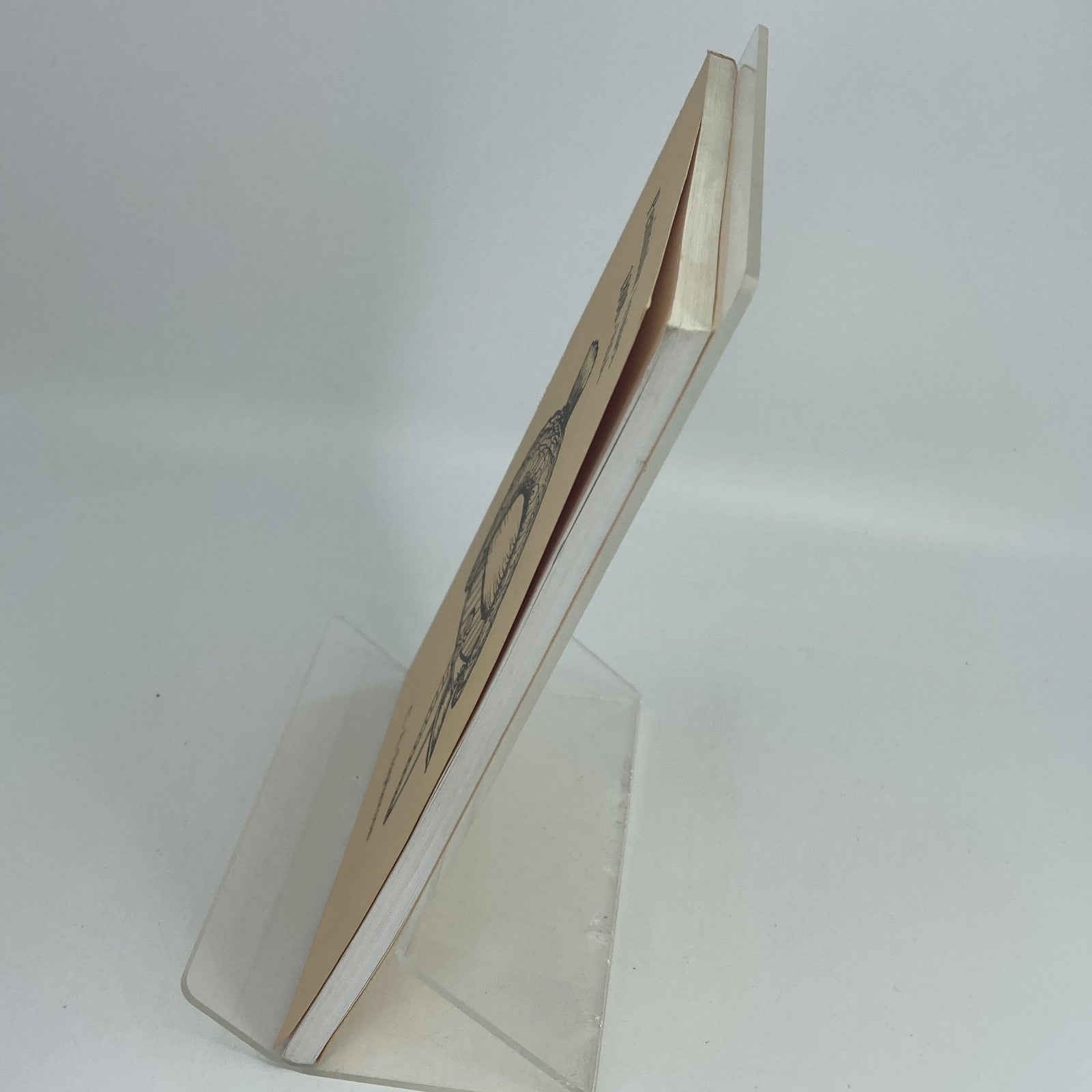 d45e4c2b-d596-4658-9a4f-44914c27e863