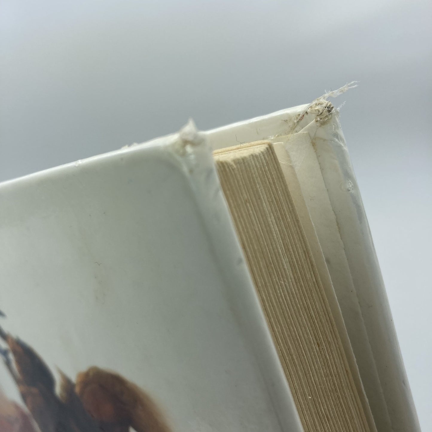 d6135b30-6ae0-425a-a210-94139db8ada6