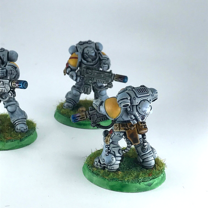 Primaris Eradicators Space Wolves - Warhammer 40K Games Workshop Painted C4985