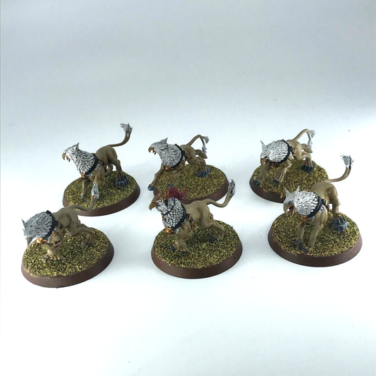 Gryph-hounds Stormcast Eternals Painted - Warhammer Age of Sigmar C1146