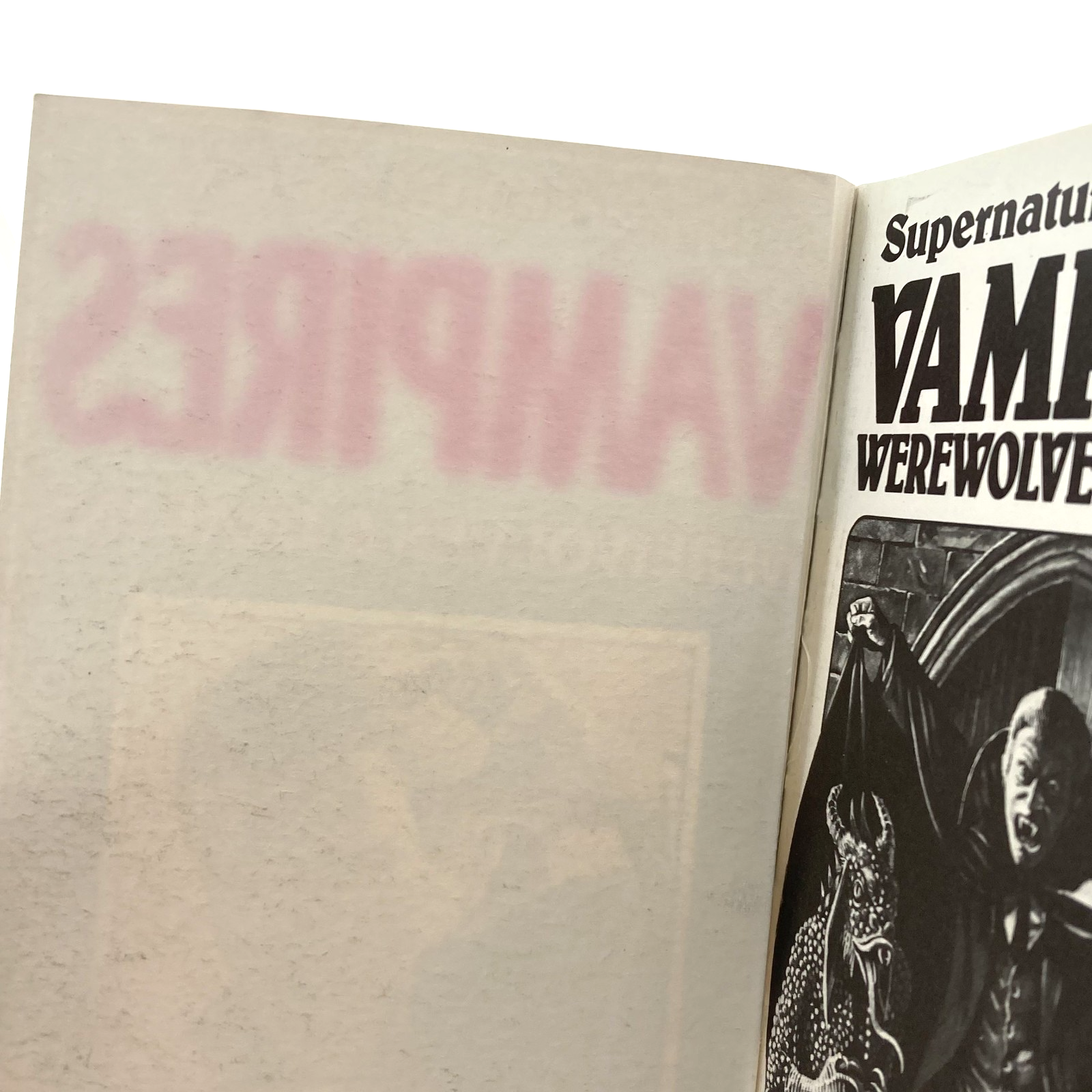 d8b58621-dae3-4c59-a978-09aa255ff0d6