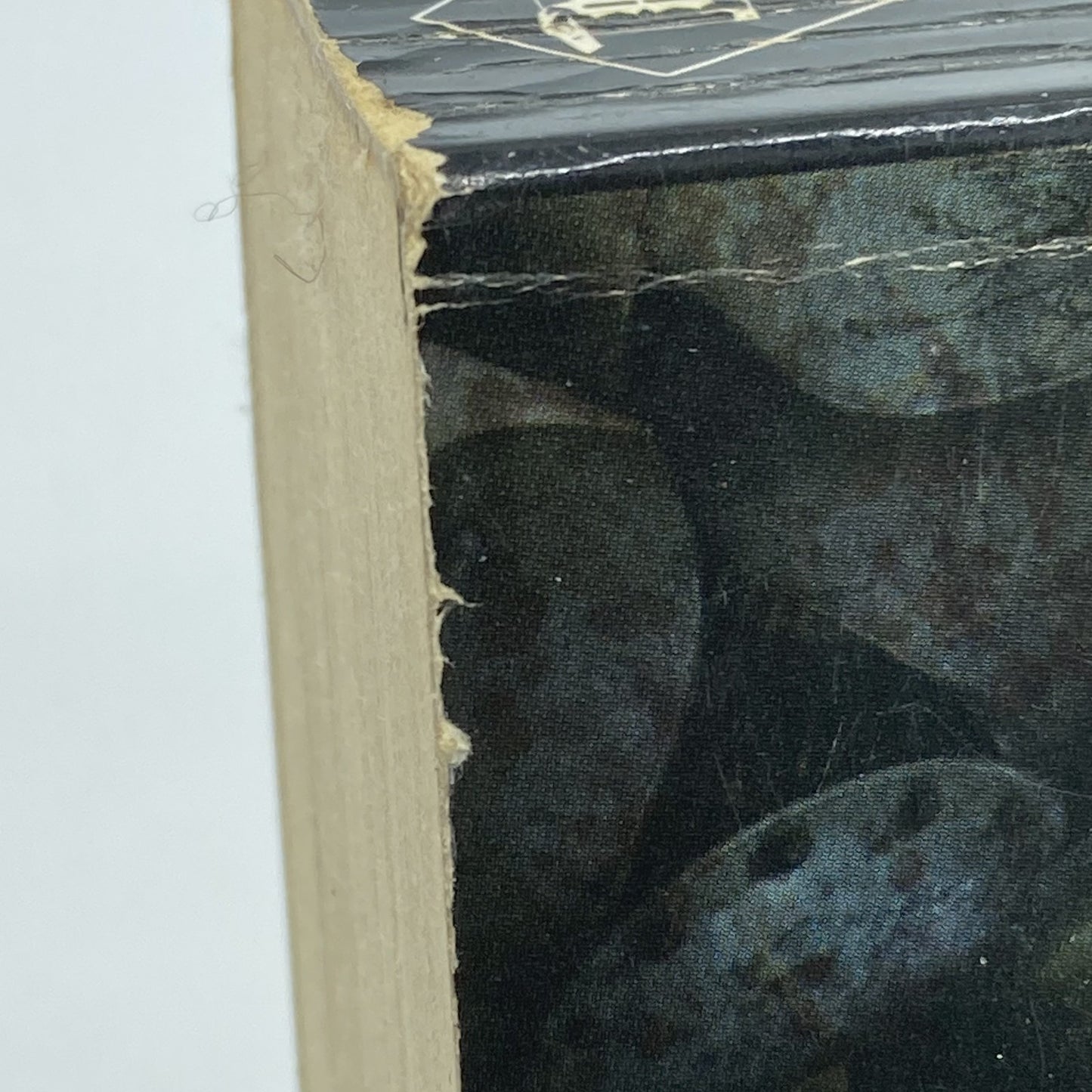 d9b82d37-17a6-46b0-be32-deb1efee89c3